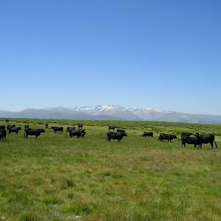 El Rondillo De Gredos