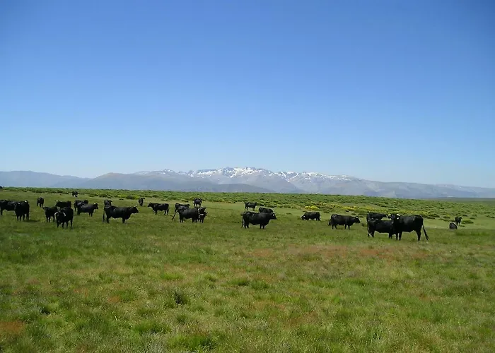 El Rondillo De Gredos